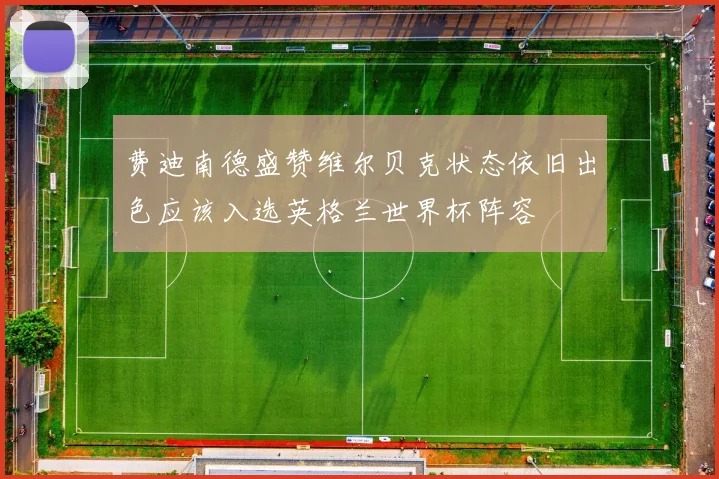 费迪南德盛赞维尔贝克状态依旧出色应该入选英格兰世界杯阵容